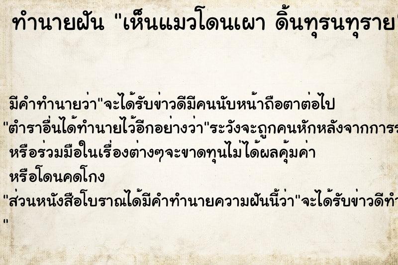 ทำนายฝัน เห็นแมวโดนเผา ดิ้นทุรนทุราย